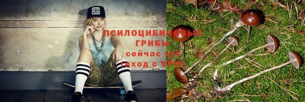 сатива Абдулино
