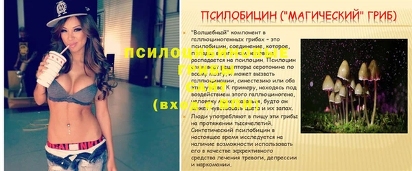 сатива Абдулино
