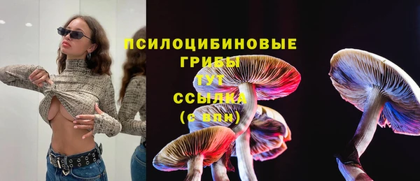 сатива Абдулино
