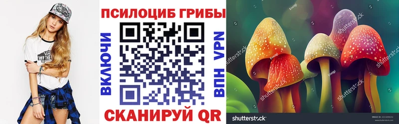 магазин Правдинск Псилоцибиновые грибы мицелий